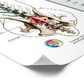 Hond Spinale zenuwen Functie Veterinair Poster (Hoek)