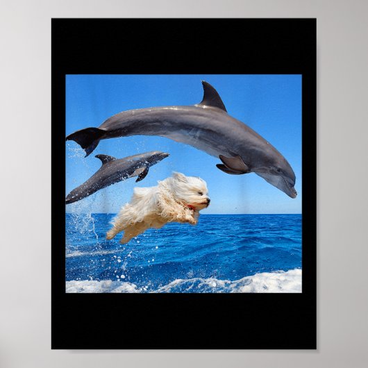 Hond springt met dolfijn voor mannen vrouwen  poster (Voorkant)