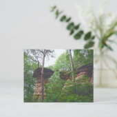 Hond springt van Stand Rock in Wisconsin Dells Briefkaart (Staand voorkant)