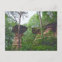 Hond springt van Stand Rock in Wisconsin Dells Briefkaart