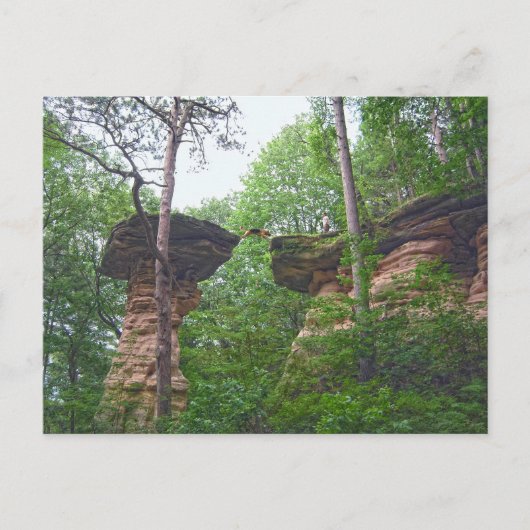 Hond springt van Stand Rock in Wisconsin Dells Briefkaart (Voorkant)