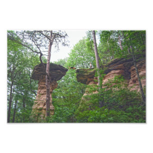 Hond springt van Stand Rock in Wisconsin Dells Foto Afdruk