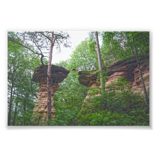 Hond springt van Stand Rock in Wisconsin Dells Foto Afdruk (Voorkant)