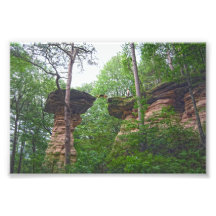 Hond springt van Stand Rock in Wisconsin Dells