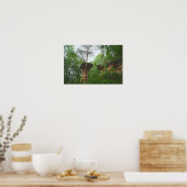 Hond springt van Stand Rock in Wisconsin Dells Poster (Keuken)