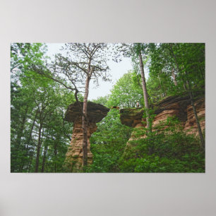 Hond springt van Stand Rock in Wisconsin Dells Poster