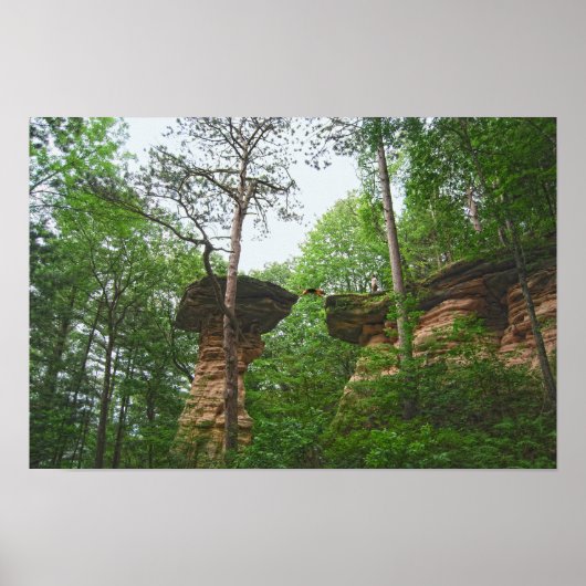 Hond springt van Stand Rock in Wisconsin Dells Poster (Voorkant)