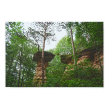 Hond springt van Stand Rock in Wisconsin Dells