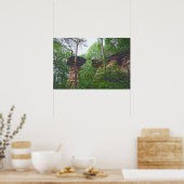 Hond springt van Stand Rock in Wisconsin Dells Poster (Keuken)