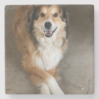 Hond Stenen Onderzetter