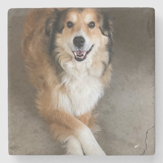 Hond Stenen Onderzetter (Voorkant)