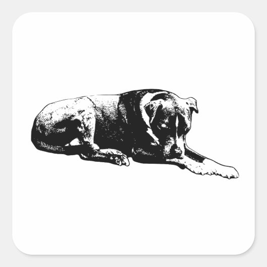 Hond sticker met duidelijke pose (Voorkant)