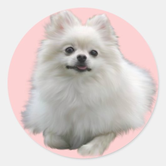 Hond Stickers LRG (Voorkant)