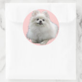 Hond Stickers LRG (Tas)