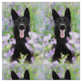 Hond stof ! (Close Up)