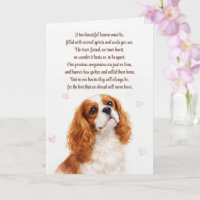 Hond Sympathie Cocker Spaniel Spiritueel Gedicht