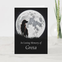 Hond sympathie Mooie Ierse Setter tegen een Maan
