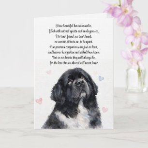 Hond sympathie Newfoundland Newfie condoleances Kaart