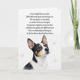 Hond Sympathie Rat Terrier Verlies Spirituele Kaar Kaart