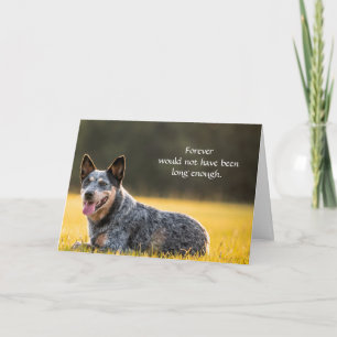 Hond sympathiekaart voor overlijden met foto kaart