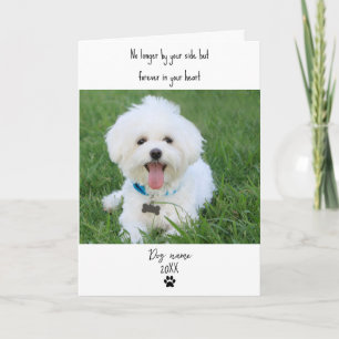 Hond sympathiekaart voor overlijden met foto kaart