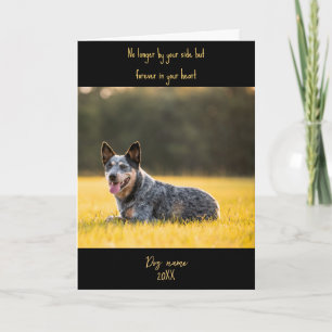 Hond sympathiekaart voor overlijden met foto kaart