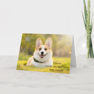 Hond sympathiekaart voor overlijden met foto kaart