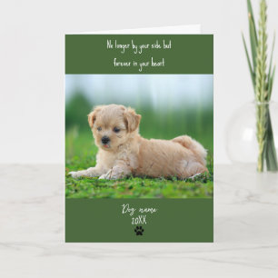 Hond sympathiekaart voor overlijden met foto kaart