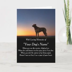 Hond sympathiekaart voor overlijden met foto kaart