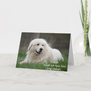 Hond sympathiekaart voor overlijden met foto kaart