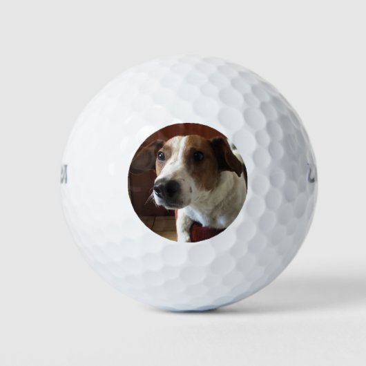 Hond Tamplate Golfballen (Voorkant)