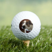 Hond Tamplate Golfballen (Insitu Shirt)