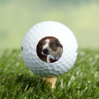 Hond Tamplate Golfballen