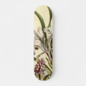 Hond Tand Violet Skateboard (Voorkant)