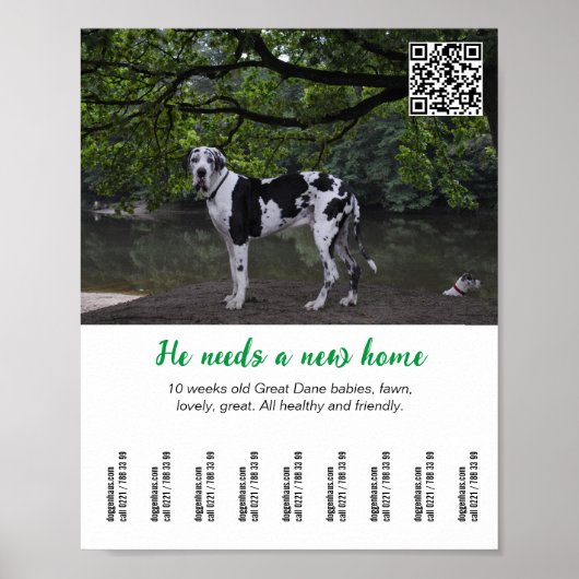 Hond te koop poster sjabloon (Voorkant)