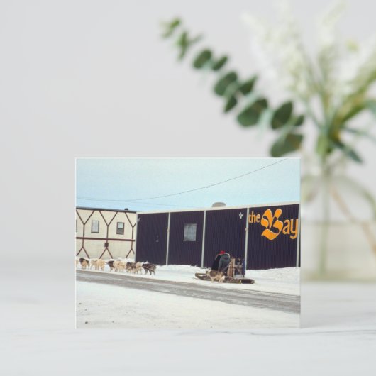 Hond team op de baai, Churchill, Manitoba Briefkaart (Staand voorkant)