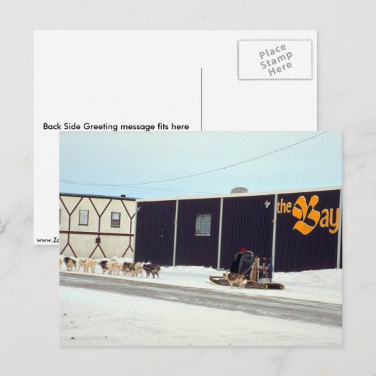 Hond team op de baai, Churchill, Manitoba Briefkaart (Voorkant / Achterkant)
