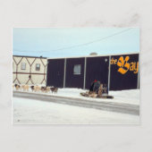 Hond team op de baai, Churchill, Manitoba Briefkaart (Voorkant)