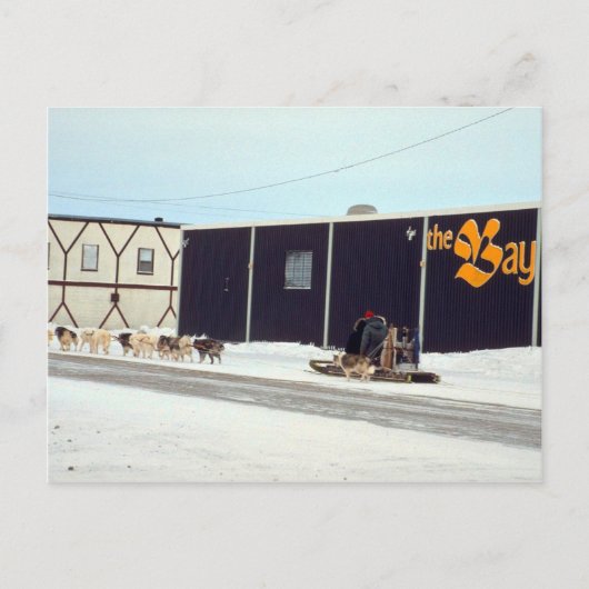 Hond team op de baai, Churchill, Manitoba Briefkaart (Voorkant)