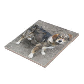 Hond Tegeltje (Zijkant)