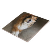 Hond  tegeltje (Zijkant)