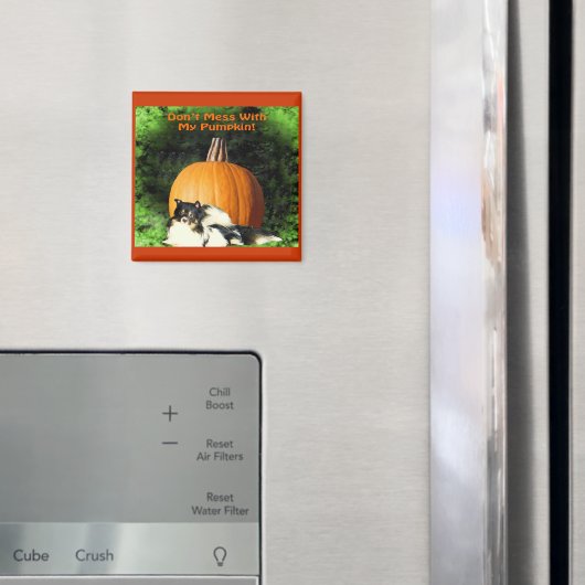 Hond ter bescherming van grote pompoenmagneten magneet (Insitu (Koelkast))
