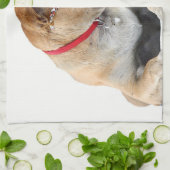 hond theedoek (Gevouwen)