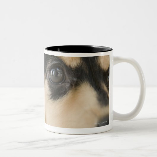Hond Tweekleurige Koffiemok (Rechts)