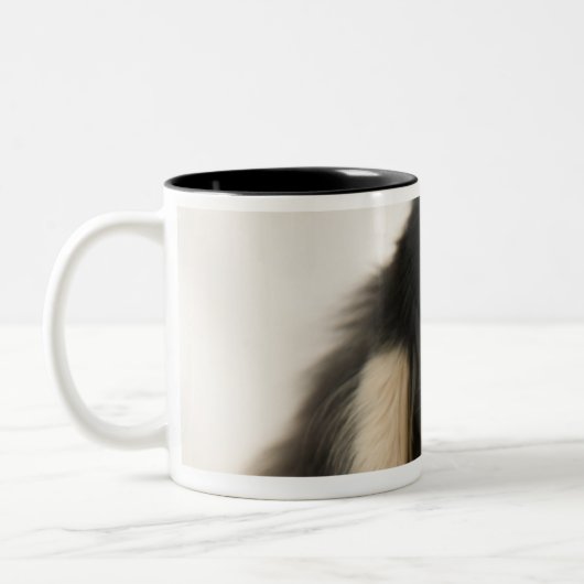 Hond Tweekleurige Koffiemok (Links)