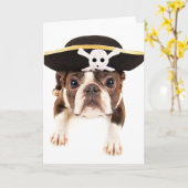 Hond van Boston Terrier kleedde zich als Piraat Kaart (Gele Bloem)