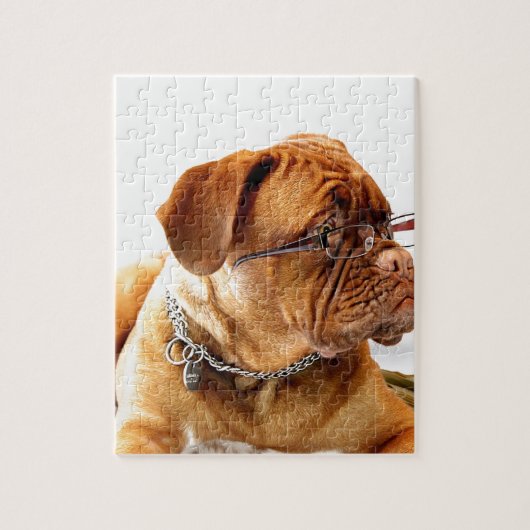 hond van de bordeaux met bril legpuzzel (Verticaal)