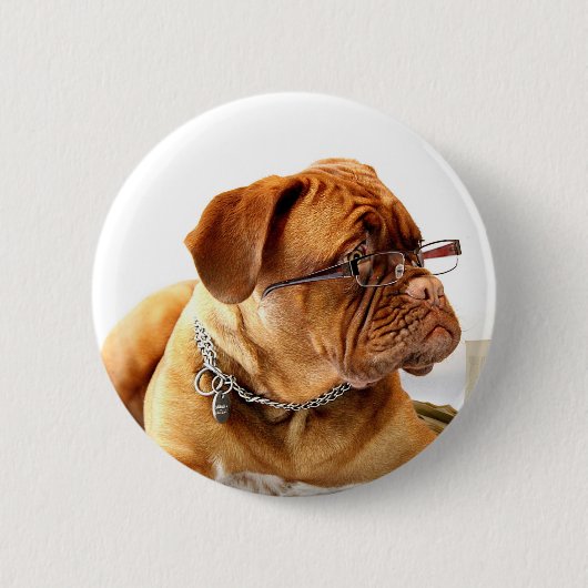 hond van de bordeaux met bril ronde button 5,7 cm (Voorkant)