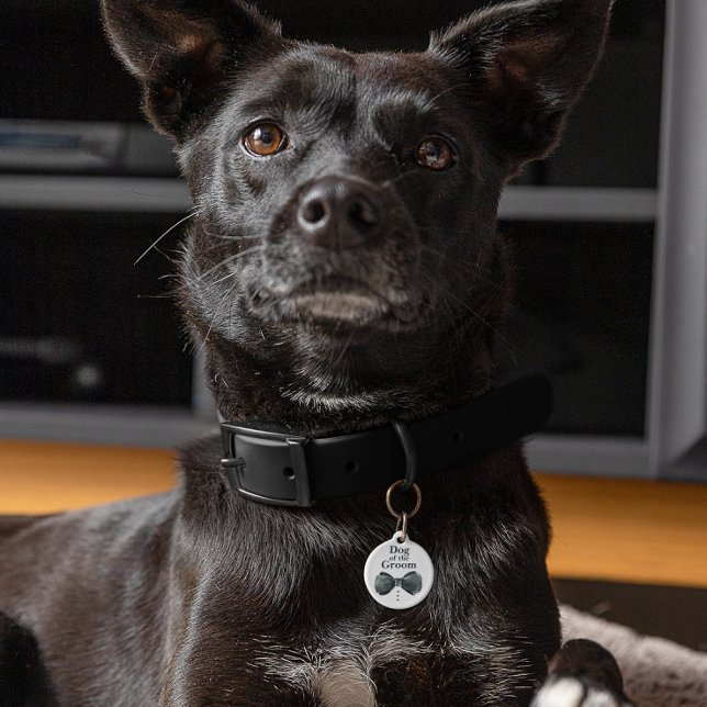 Hond van de bruidegom | Hond in bruiloft Huisdierpenning (Creator heeft geüpload)