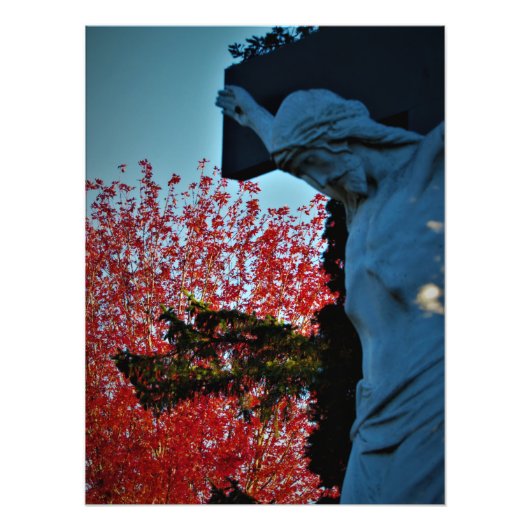 Hond van de hemel foto afdruk (Voorkant)